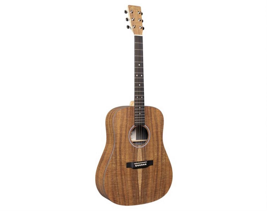 Martin Dx1ekoa