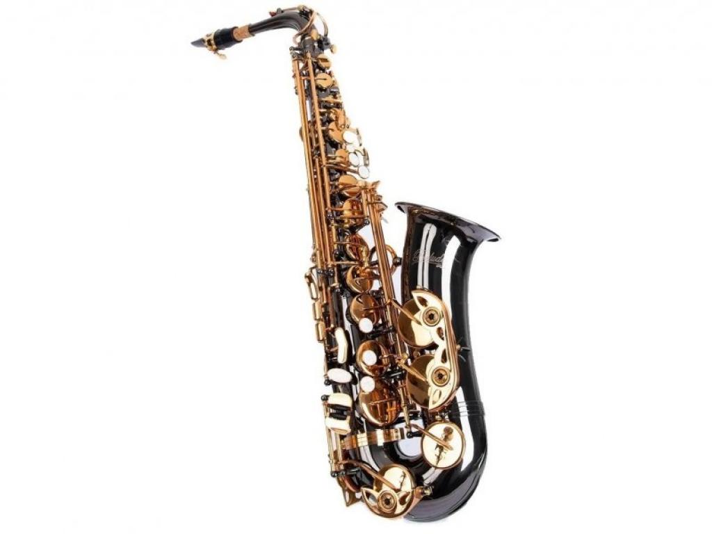 Fontai FT 6430 BN SAX Alto Dour/black