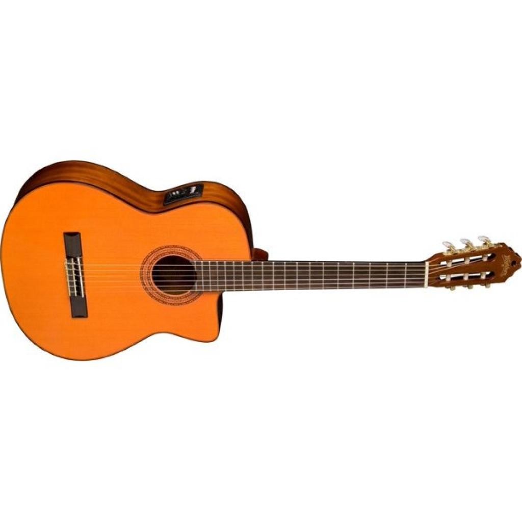 Washburn C5 CE a Nylon
