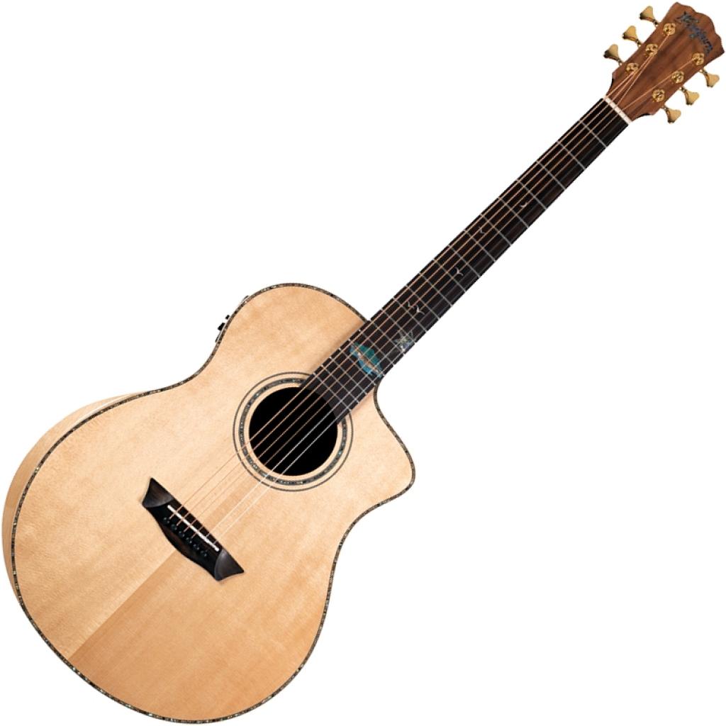 Washburn Btsc 56 SCE