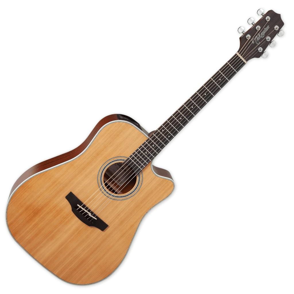 Takamine Gd20ce NS Natural