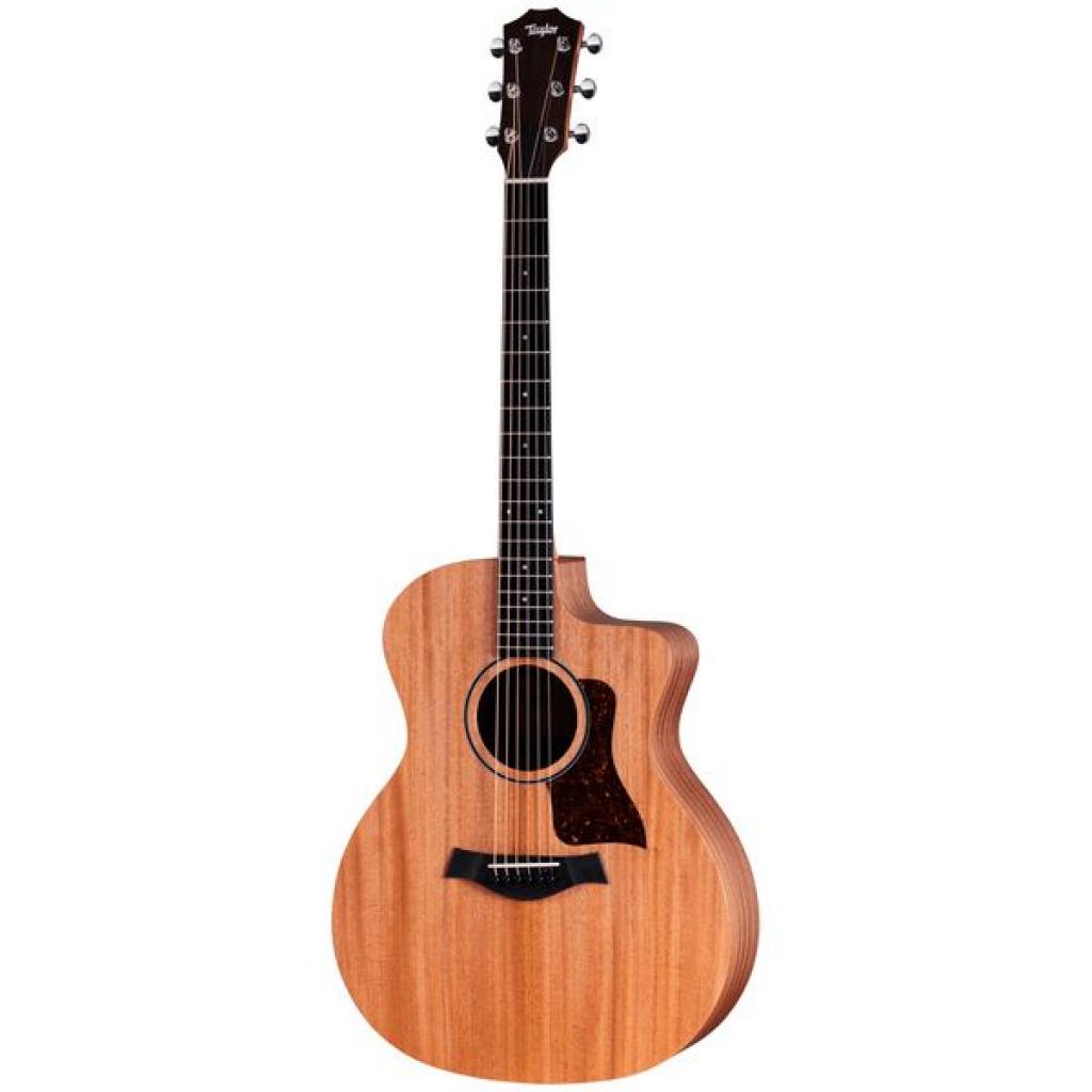 Taylor 24CE