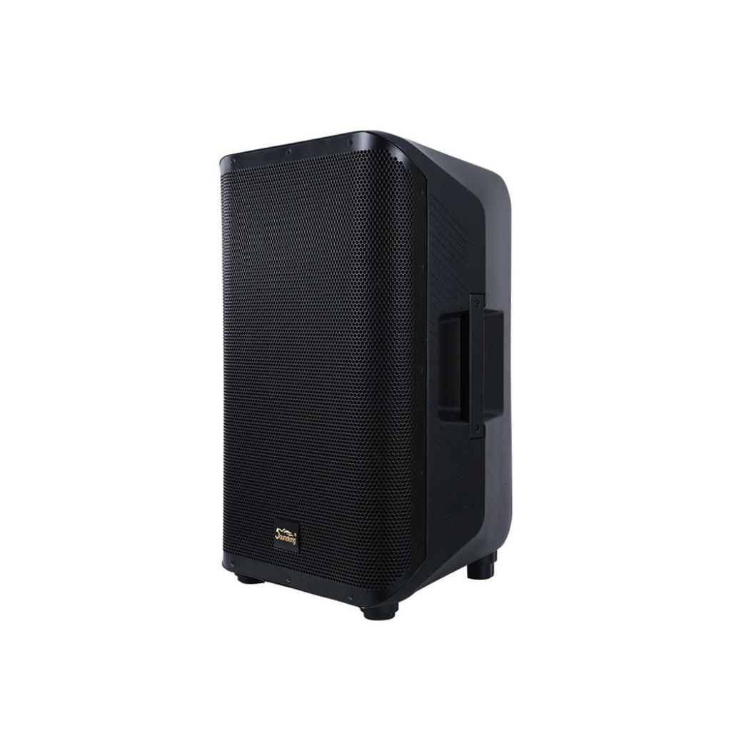 Soundking Y15P