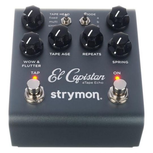 STRYMON EL CAPISTAN V2 ECHO