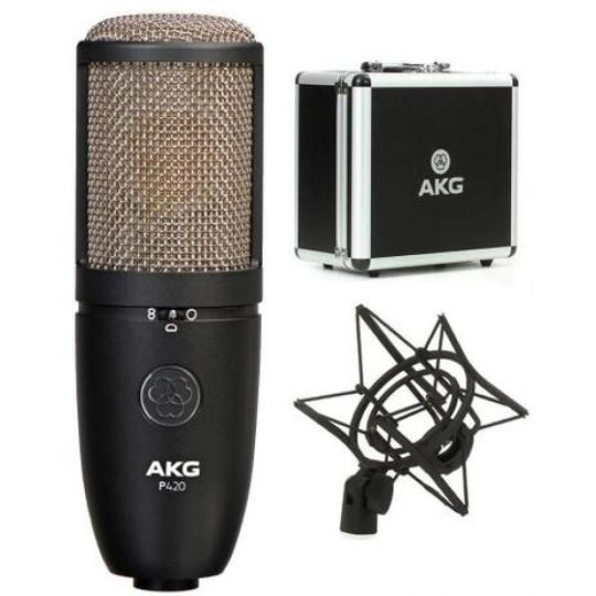 AKG P420