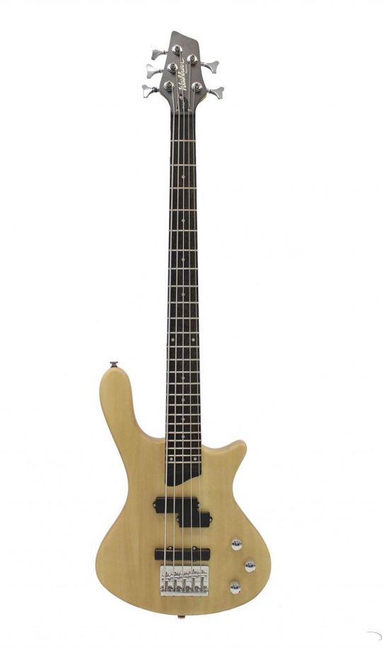 WASHBURN T15 NS A