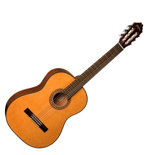 WASHBURN C40 A