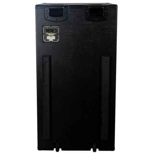 ASHDOWN GABINETE ABM810 H EVO IV 8X10
