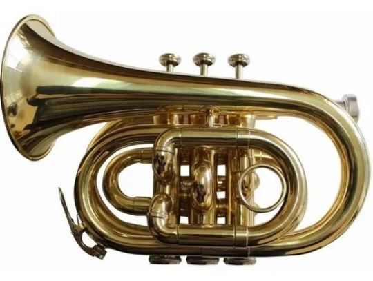 FONTAI TROMPETE DE BOLSILLO FT6500 DOURADO