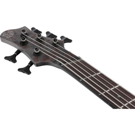 IBANEZ BASS BTB805 MS TGF 5 CUERDAS