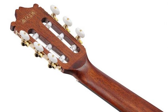 IBANEZ VIOLAO GA5MHTCE OPN ELET /NYLON