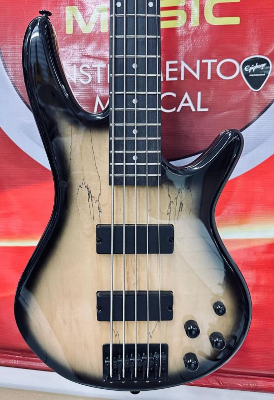 IBANEZ BASS GSR205SM NGT 5 CORDAS