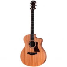 TAYLOR 24CE