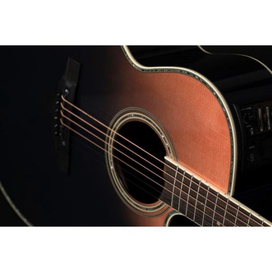 TAKAMINE LTD2024 