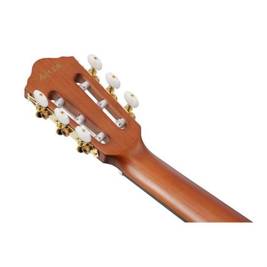 IBANEZ VIOLAO FRH10N BSF E /A NYLON