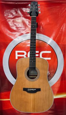 TAKAMINE GD20 NS NAT METAL ACOUSTIC