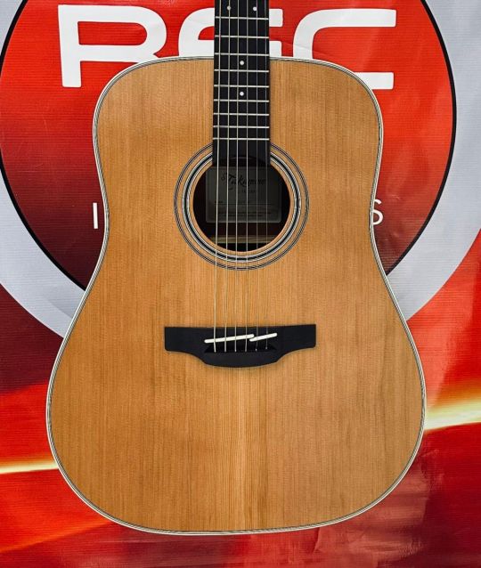 TAKAMINE GD20 NS NAT METAL ACOUSTIC