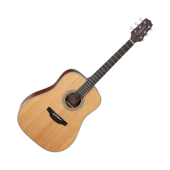 TAKAMINE GD20 NS NAT METAL ACOUSTIC