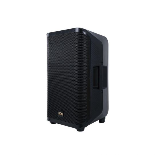 SOUNDKING Y15P