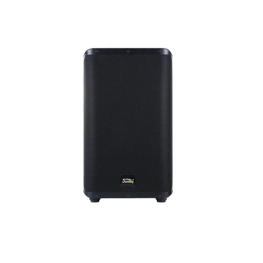SOUNDKING Y15P