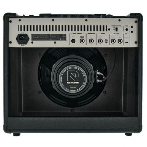 POSITIVE GRID REACTOR 50 